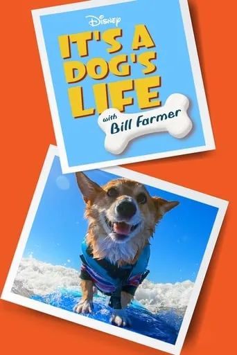 It's a Dog's Life with Bill Farmer TV series poster - Rated 7.2/10