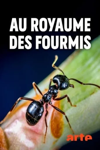 Au royaume des fourmis TV series poster - Rated 7/10