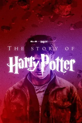 The Story of Harry Potter TV series poster - Rated 8.5/10
