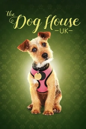 The Dog House TV series poster - Rated 7.6/10