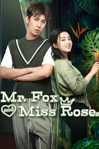 Mr. Fox and Miss Rose TV series poster - Rated 9/10