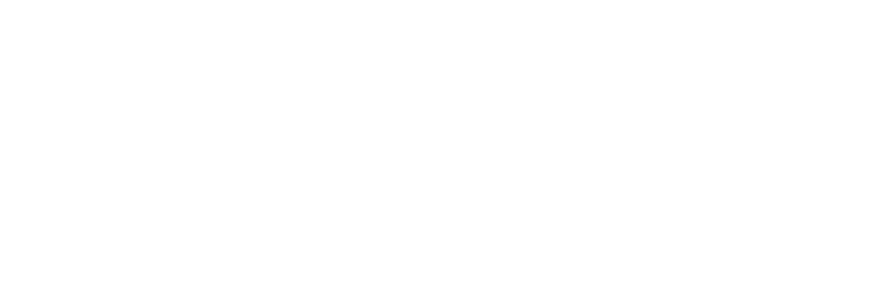 Into The Ring