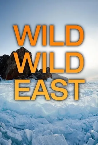 Wild Wild East TV series poster - Rated 7/10
