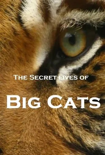 The Secret Lives Of Big Cats TV series poster - Rated 8.6/10