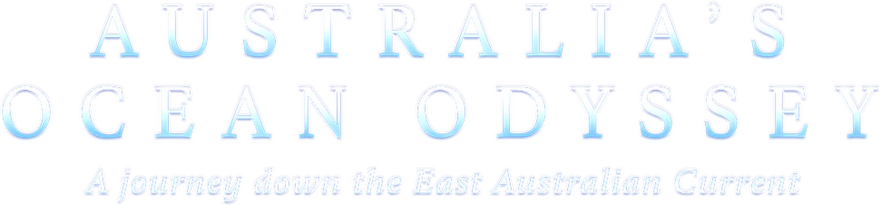 Australia's Ocean Odyssey: A journey down the East Australian Current