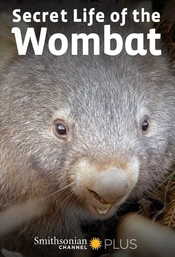 Secret Life of the Wombat TV series poster - Rated 9/10