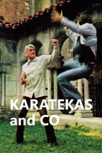 Karatékas and Co TV series poster - Rated 8/10