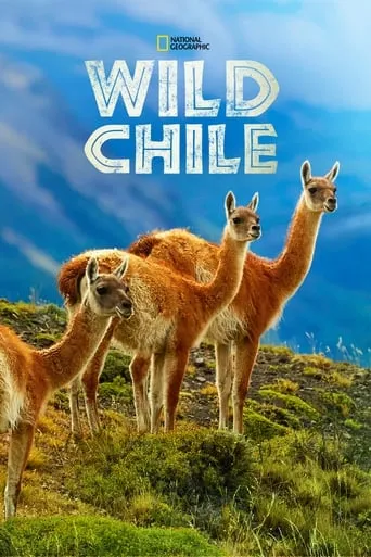 Wild Chile TV series poster - Rated 8.8/10