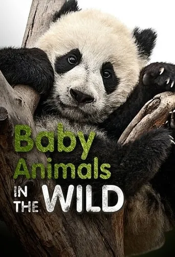 Baby Animals In The Wild TV series poster - Rated 9/10