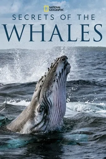 Secrets of the Whales TV series poster - Rated 7.7/10