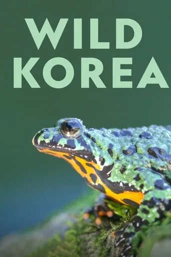 Wild Korea TV series poster - Rated 6/10