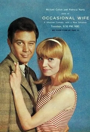Occasional Wife TV series poster - Rated 7.5/10