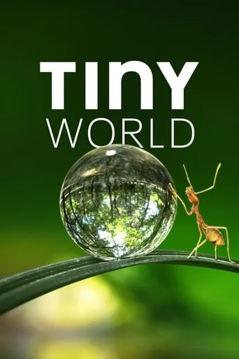 Tiny World TV series poster - Rated 7.938/10