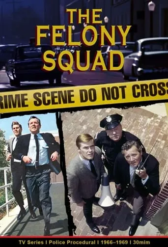 Felony Squad TV series poster - Rated 6.4/10