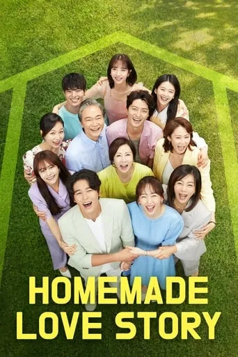 Homemade Love Story TV series poster - Rated 6/10