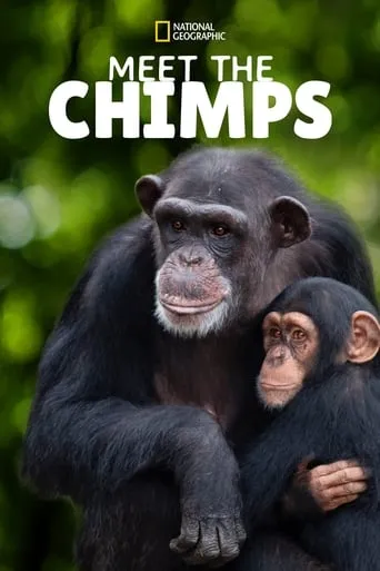 Meet the Chimps TV series poster - Rated 7.5/10