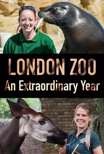 London Zoo: An Extraordinary Year TV series poster - Rated 8/10