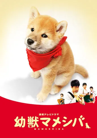 幼獣マメシバ TV series poster - Rated 6/10