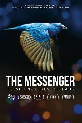 Le Silence des oiseaux TV series poster - Rated 8/10