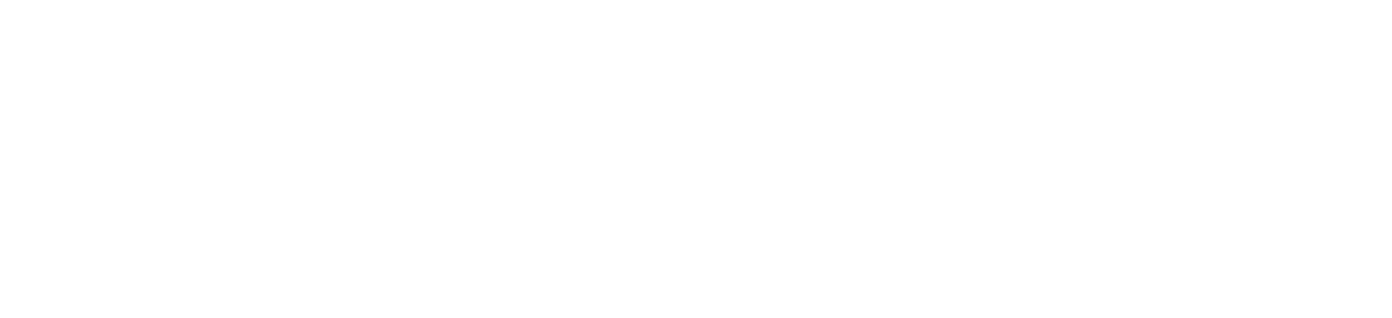 The Minister
