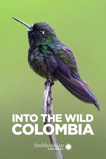 Into the Wild: Colombia TV series poster - Entertainment content
