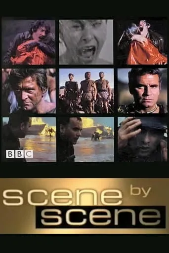 Scene by Scene TV series poster - Rated 6/10