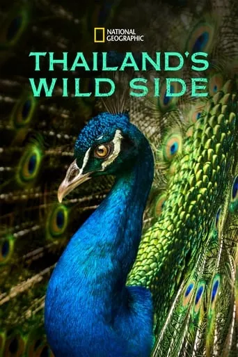 Thailand's Wild Side TV series poster - Rated 8/10