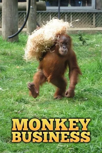 Monkey Business TV series poster - Rated 7.5/10