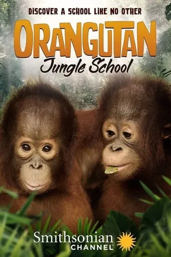 Orangutan Jungle School TV series poster - Rated 9/10