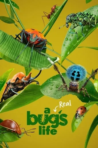 A Real Bug's Life TV series poster - Rated 7.528/10