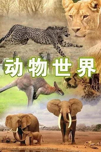 动物世界 TV series poster - Entertainment content