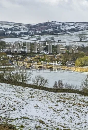Winter Walks TV series poster - Rated 7.5/10