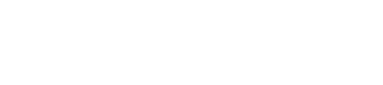 Imitation