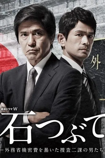 Throwing Stones : Cops Against the Government TV series poster - Rated 8/10