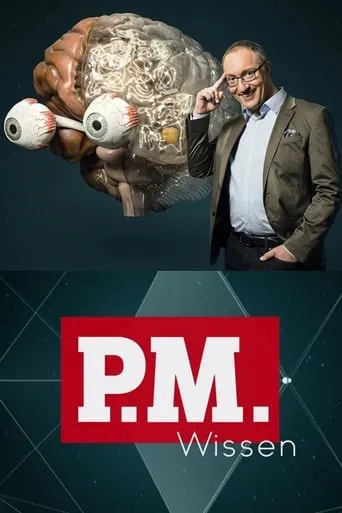 P.M. Wissen TV series poster - Rated 9/10