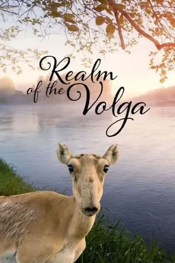 Realm of the Volga TV series poster - Rated 8.8/10