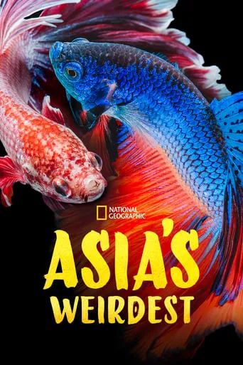 Asia's Weirdest TV series poster - Rated 8/10