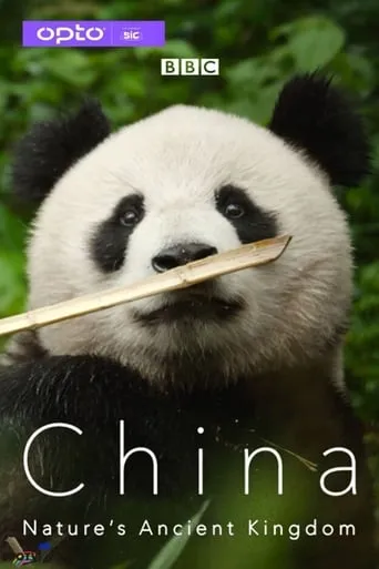 China Nature's Ancient Kingdom TV series poster - Rated 9/10