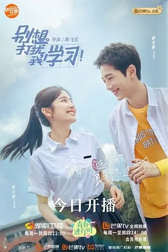 Don't Disturb My Study TV series poster - Rated 6.2/10