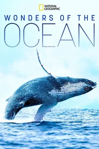 Wonders of the Ocean TV series poster - Rated 8/10