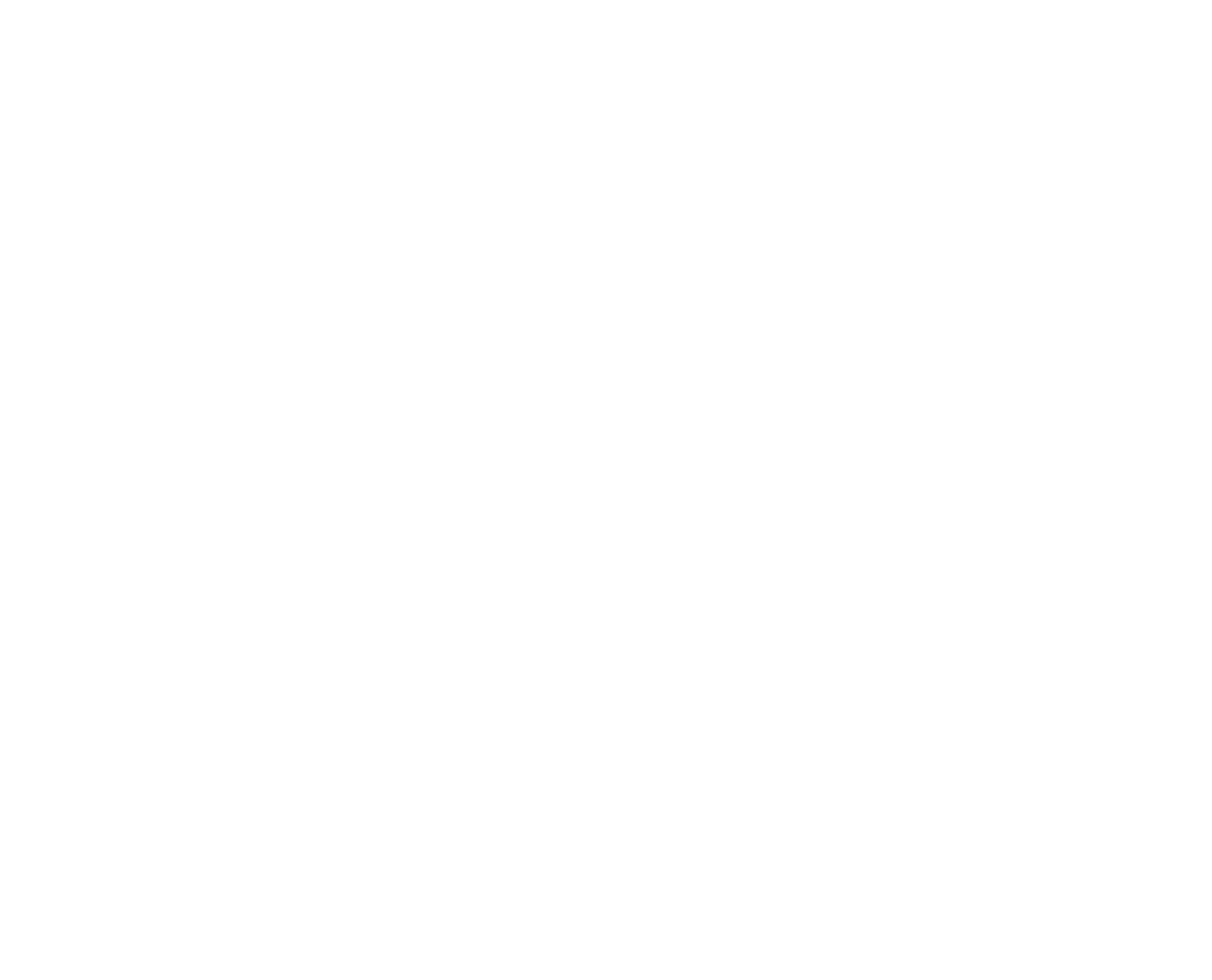 AMAIM Warrior at the Borderline