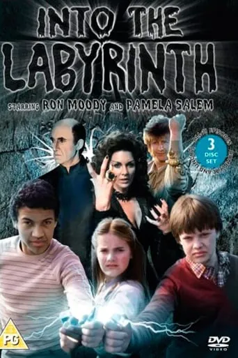 Into the Labyrinth TV series poster - Rated 7.6/10