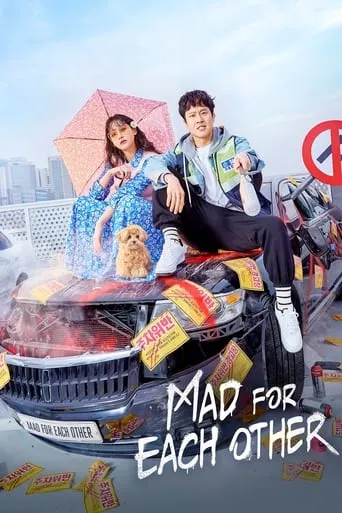Mad for Each Other TV series poster - Rated 8.2/10