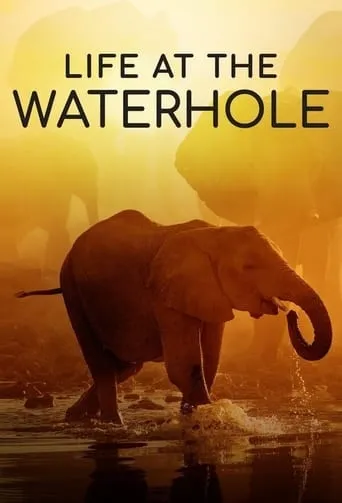 Life at the Waterhole TV series poster - Rated 9/10