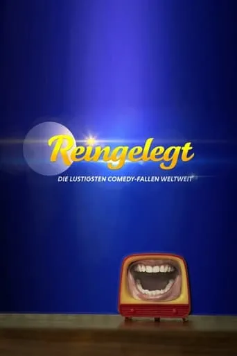 Reingelegt TV series poster - Rated 8/10