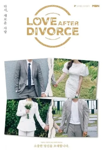 Love After Divorce TV series poster - Rated 9/10