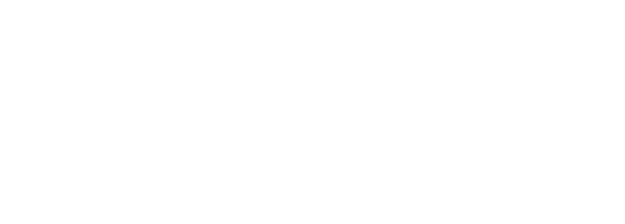 Inspector Koo