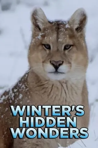 Winter's Hidden Wonders TV series poster - Rated 10/10