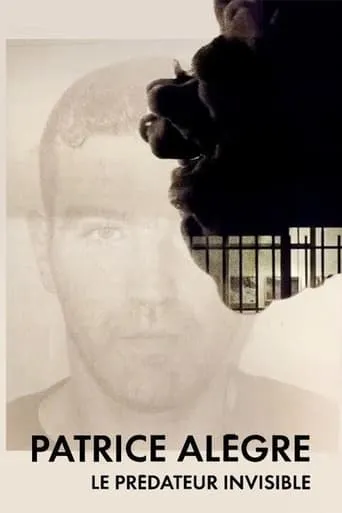 Patrice Alègre : le prédateur invisible TV series poster - Rated 10/10