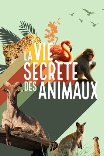 La vie secrète des animaux TV series poster - Rated 8/10